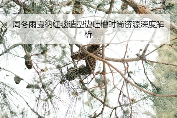 zhou-dong-yu-jia-na-hong-tan-zao-xing-zao-tu-cao-shi-shang-zi-yuan-shen-du-jie-xi-2-104.jpg